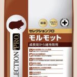 モルモットセレクションプロ | 埼玉東京のうさぎ専門店ラビファー埼玉